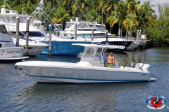 04MAY2019CPYCDolphinAfternoon_0164