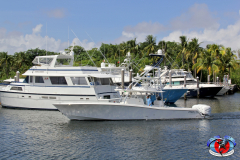 04MAY2019CPYCDolphinAfternoon_0272