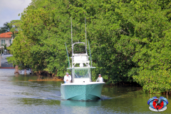 04MAY2019CPYCDolphinAfternoon_0292