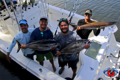 04MAY2019CPYCDolphinAfternoon_0312