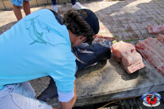 04MAY2019CPYCDolphinAfternoon_0332