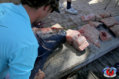 04MAY2019CPYCDolphinAfternoon_0335