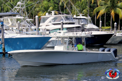 04MAY2019CPYCDolphinAfternoon_0353