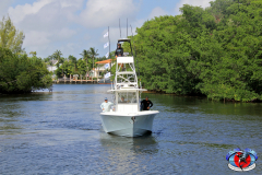 04MAY2019CPYCDolphinAfternoon_0384