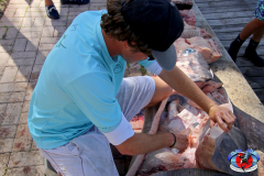 04MAY2019CPYCDolphinAfternoon_0410