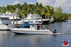 04MAY2019CPYCDolphinAfternoon_0426