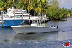 04MAY2019CPYCDolphinAfternoon_0427